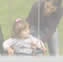 Guardianship (content submitted)