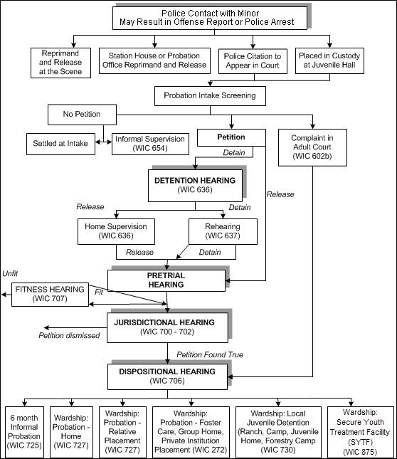 Juvenile Delinquency Hearing Flow Chart